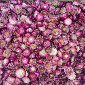 Helichrysum brac. Dried Loose Flower Heads, Natural Deep Pink (Strawflowers) 500g