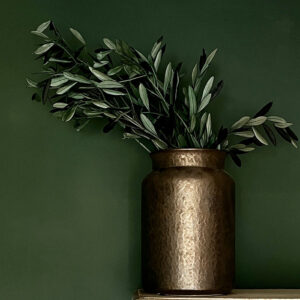 Olive Tree Branches, Dark Green, Preserved (Olea Europaea) 60cm