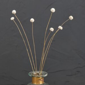 Botao Buttons Mini, Bleached White, Dried (Amarelino) 50cm