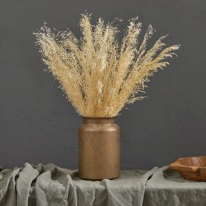 Briza Grass