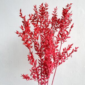 Ruscus, Bright Red, Preserved, 70cm