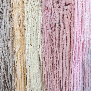 Amaranthus