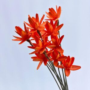 Sola Flowers, Lotus, Vibrant Orange, 70cm