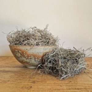 Tillandsia Moss, Natural Grey, Dried (Spanish Moss) 200g
