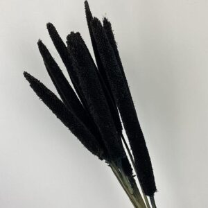 Babala, Black, Dried (Pearl Millet) 60cm
