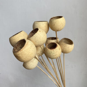 Bell Cups, Natural Ivory, 50cm