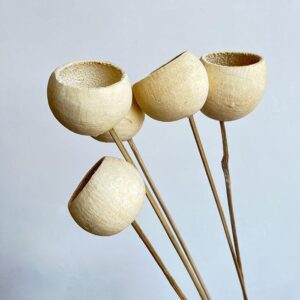 Bell Cups, White, 50cm