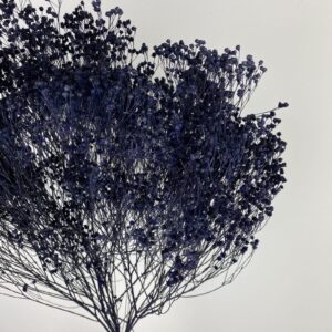 Broom Bloom, Dark Blue, Dried, 60cm