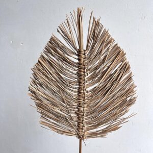 Boho Palms, Dried Natural Light Brown 90cm