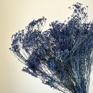 Broom Bloom, Deep Blue, Dried, 50cm