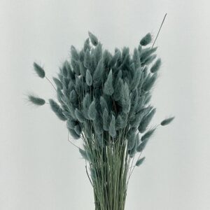 Lagurus Grass, Cool Blue Grey, Dried (Bunny Tails) 50-70cm 100g