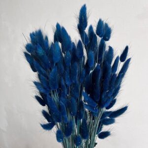 Lagurus Grass, Deep Blue, Dried (Bunny Tails) 50-70cm 100g