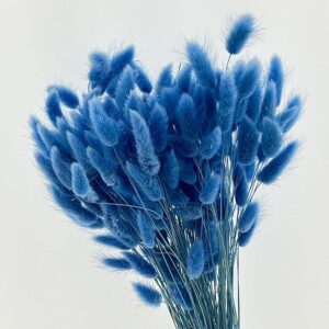 Lagurus Grass, Mid Blue, Dried (Bunny Tails) 50-70cm 100g