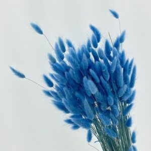 Lagurus Grass, Pale Blue, Dried (Bunny Tails) 50-70cm 100g