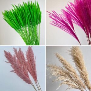 Grasses