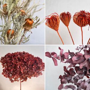 Autumn Collection