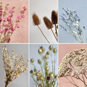 Dried Flowers