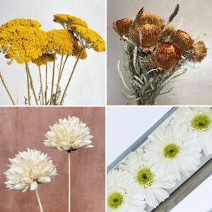 Focal Flowers