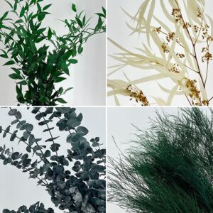 Foliage