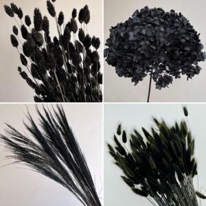 Monochrome Florals