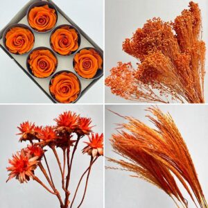 Orange ~ Terracotta