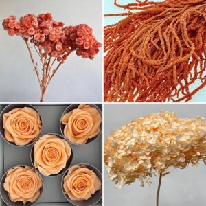 Peach ~ Salmon ~ Coral