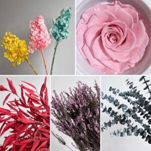 Preserved Flowers, Foliage & Moss