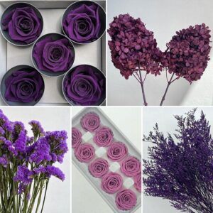 Purple ~ Violet