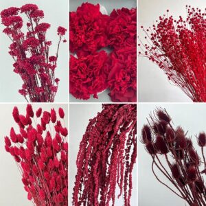 Red ~ Burgundy