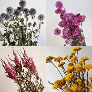 Secondary Flowers