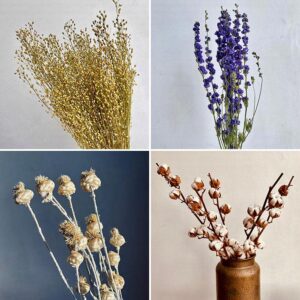 Tall & Linear Flowers
