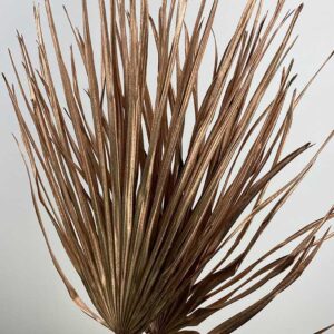 Chamaerops Palm Leaf, Metallic Copper, Dried, 50-70cm
