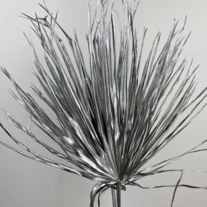 Chamaerops Palm Leaf, Metallic Silver, Dried, 50-70cm