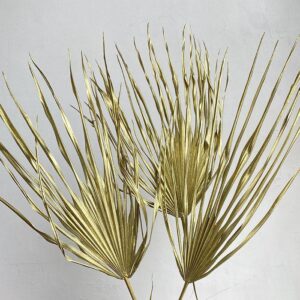 Chamaerops Palm Leaf, Metallic Gold, Dried, 65-80cm
