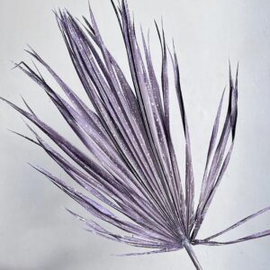 Chamaerops Palm Leaf, Frosted Lilac, Dried, 60-70cm