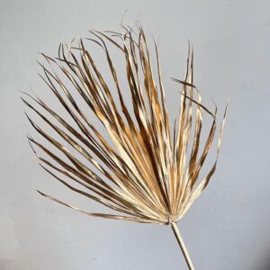 Chamaerops Palm Leaf, Metallic Warm Gold, Dried, XL, 75-90cm