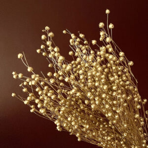 Bubble Flax, Metallic Gold, Dried (Linum) 50cm
