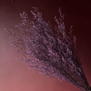 Limonium Caspia, Purple, Preserved, 70cm