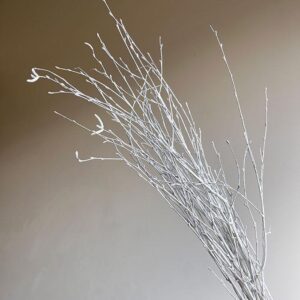 Birch Twigs, White, Dried (Betula) 60cm
