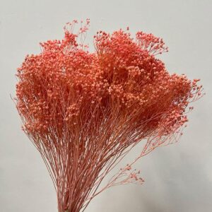 Broom Bloom, Pink Shades, Dried, 60cm