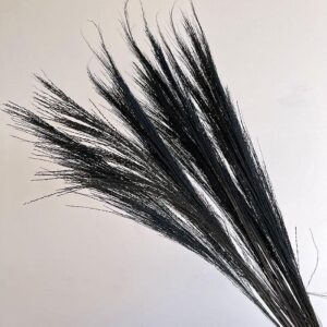 Broom Grass, Black, Dried, 70cm