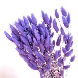 Lagurus Grass, Lavender Lilac, Dried (Bunny Tails) 50-70cm 100g