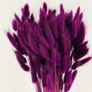 Lagurus Grass, Magenta Purple, Dried (Bunny Tails) 50-70cm 100g