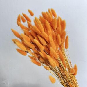 Lagurus Grass, Orange, Dried (Bunny Tails) 60-70cm 100g