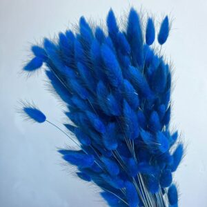 Lagurus Grass, Royal Blue, Dried (Bunny Tails) 50-70cm 100g
