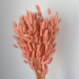 Lagurus Grass, Soft Pink, Dried (Bunny Tails) 50-70cm 100g