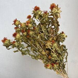 Carthamus Flowers, Natural Orange, Dried (Bidens, Saff Flower) 70cm