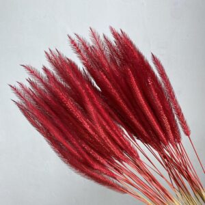Caterpillar Grass, Red, Dried, 25g 50cm
