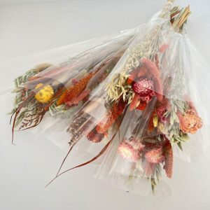 Bouquet Dried Flowers, Retail Ready, Bud Vase Mix, 55cm ~ BOX DEAL