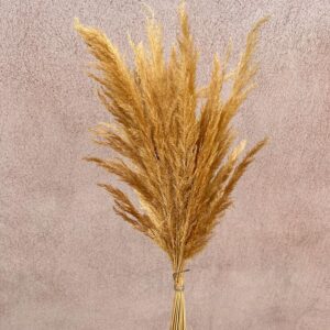 Golden Grass, Natural, Dried, 60cm